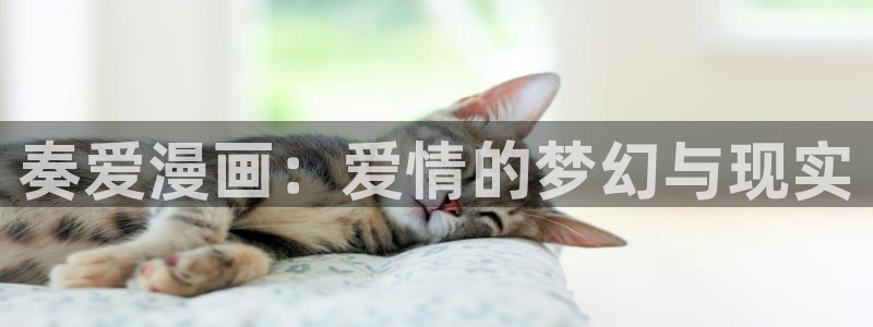 异形之鼓动樱花漫画免费观看：奏爱漫画：爱情的梦幻与现实