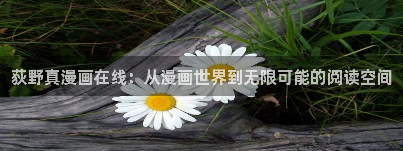 樱花漫画正版下载app：荻野真漫画在线：从漫画世界到无限可能的阅读空间